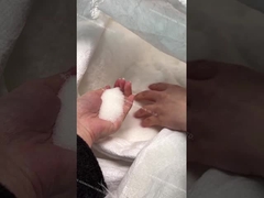 Magnesiumsulfat Video