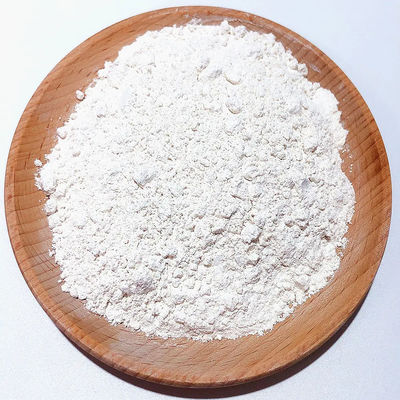 Industrial Production Magnesium Sulfate Monohydrate Essential Nutrient for Plants and Catalyst