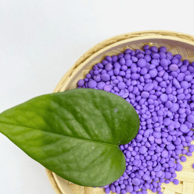 Balanced Efficient Water Soluble Compound Fertilizer Npk 15 5 25 Quick Release Type