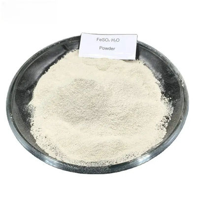 Ferrous Sulfate Monohydrate Powder 91% 7720-78-7 Iron Ii Sulfate Hydrate