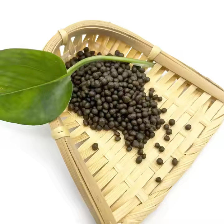 Customized DAP Diammonium Phosphate Fertiliser Granular For Different Soil Conditions