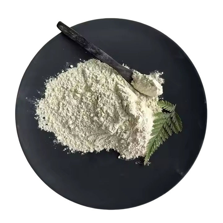 Industrial Grade White Powder Ferrous Sulfate Monohydrate Feed FeSO4·H2O